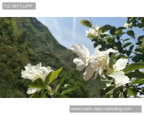 问鼎娱乐网址-探寻问鼎娱乐网址的世界，一切欢乐任您品鉴-问鼎娱乐网址